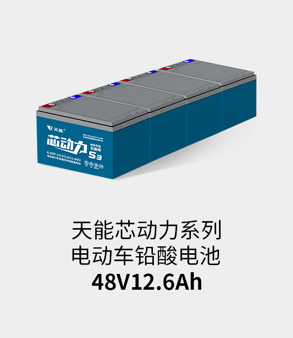 Stake官网电池48v12ah