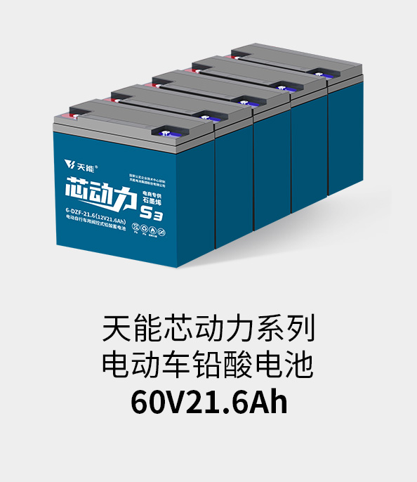Stake官网电池60v20ah
