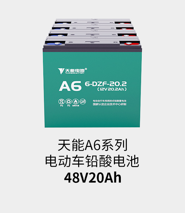 Stake官网电池48v20ah