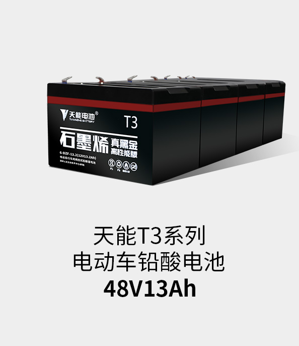 Stake官网T3系列48v13ah