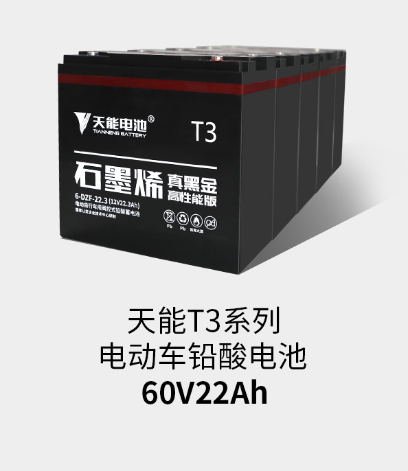 Stake官网T3系列60v22ah